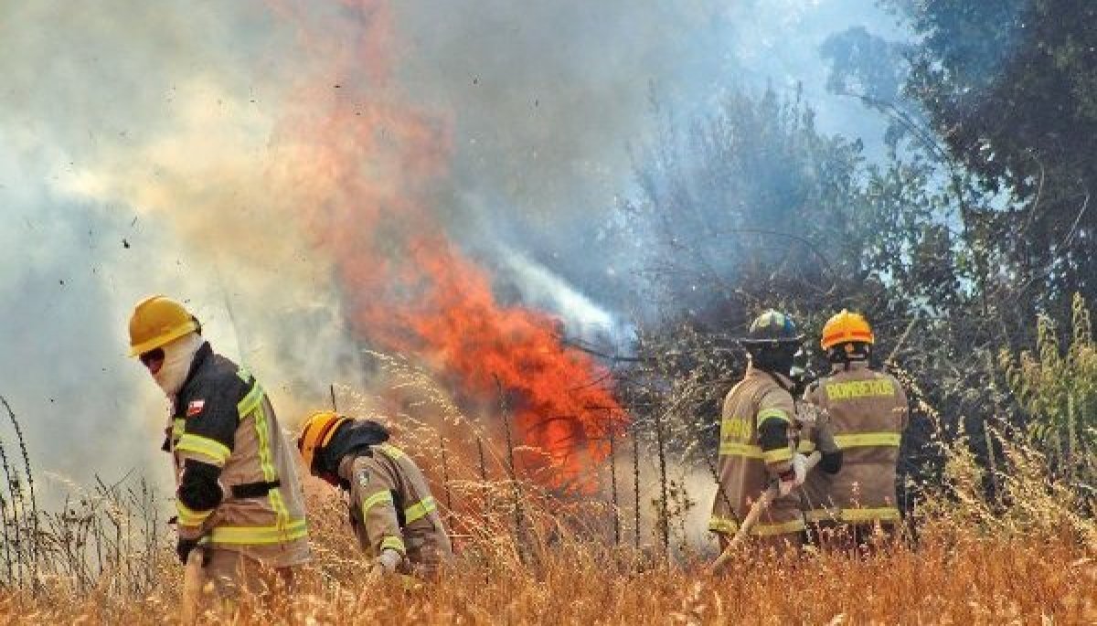 Alcalde de Florida asegura que viviendas están protegidas por brigadistas y bomberos en medio del incendio forestal