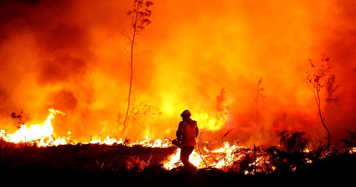Alerta Roja en Florida por incendio forestal de rápida propagación