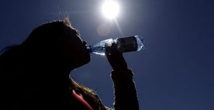 Alerta Roja en la Región del Biobío debido a las altas temperaturas