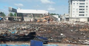 Alerta por la preocupante situación de los terrenos abandonados en Concepción