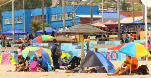 Declaran Alerta Roja en las Provincias de Concepción y Biobío debido a altas temperaturas