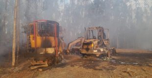 Ataque incendiario en Lebu causa daños y provoca incendio forestal