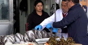 Autoridades promueven el consumo seguro de pescados y mariscos durante el verano en el Biobío para prevenir intoxicaciones alimentarias