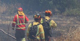Brigadista de Conaf Biobío continúa en condición crítica tras accidente en incendio forestal en Ranquilco