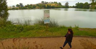 Cambio repentino de color en la Laguna Lo Méndez de Concepción