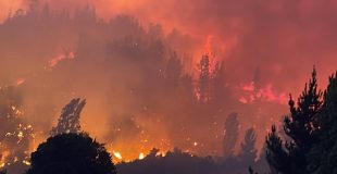 Comuna de Yumbel declarada alerta roja por intenso incendio forestal