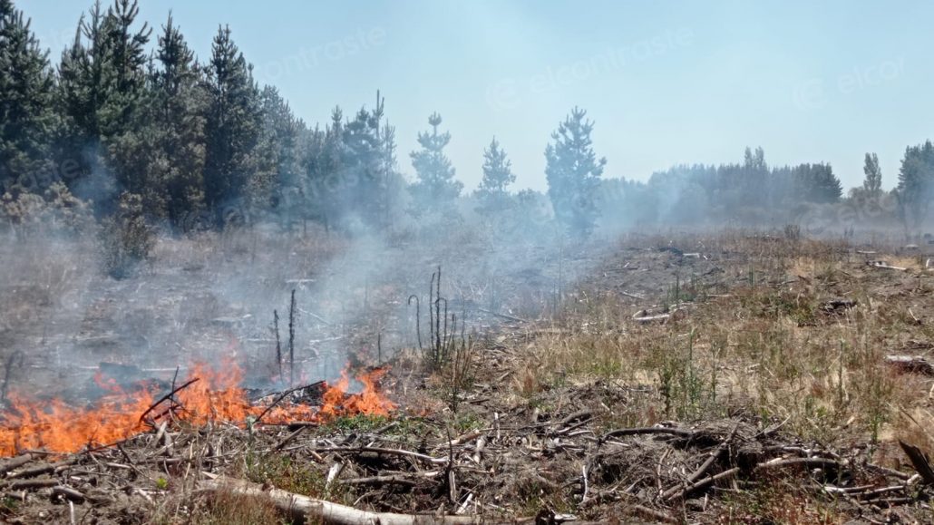 Conaf actualiza el estado del incendio forestal en Florida y Quillón