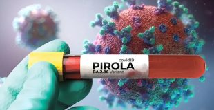 Confirmada la presencia de la variante