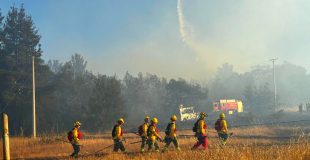 Continúa la Alerta Roja por incendio forestal en Yumbel