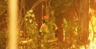 Controlado incendio forestal en Lomas Coloradas, San Pedro de la Paz