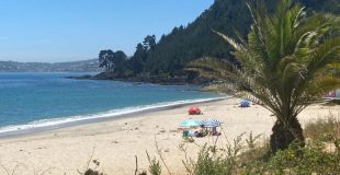 Descubre las playas habilitadas para el baño en Biobío y Ñuble