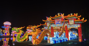 Festival de Luces de China 2024