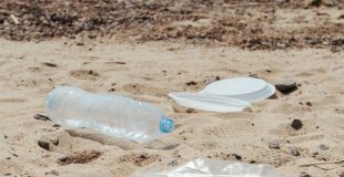 Proyecto legislativo busca endurecer sanciones por arrojar basura en espacios públicos y sitios eriazos