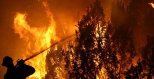 Reportan focos de incendios forestales en San Pedro de la Paz y Tomé