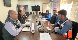 SAG Biobío lidera mesa de protección animal frente a posibles incendios forestales