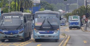 Dos líneas de taxibuses aún no firman su ingreso al Perímetro de Exclusión en la zona