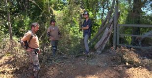 Llaman a la comunidad a no adquirir leña nativa para frenar la tala ilegal en el Parque Nonguén