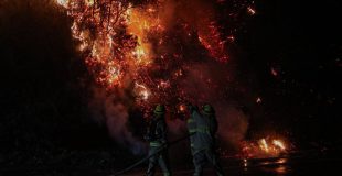 Mulchén bajo Alerta Roja por devastador incendio forestal