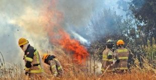 Continúan esfuerzos de combate contra incendios forestales en la región del Biobío