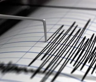 Sismo de magnitud 5,2 sacude regiones de Ñuble y Biobío