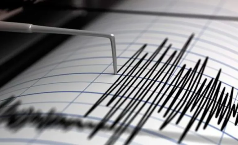 Sismo de magnitud 5,2 sacude regiones de Ñuble y Biobío