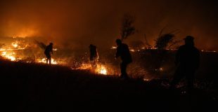 Uso del fuego