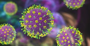 Virus Nipah en India